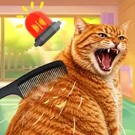 Brush Cat Challenge
